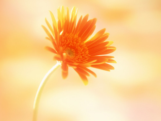 421624 (a): :1600x1200